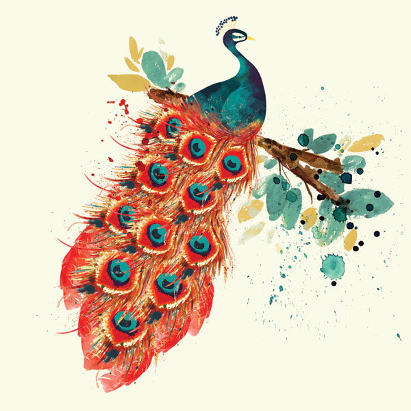 Peacock I