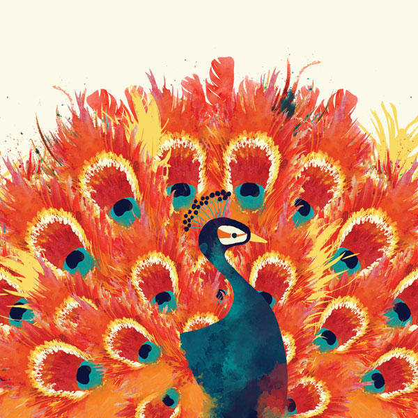 Peacock II