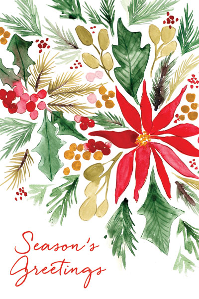 Poinsettia Pine