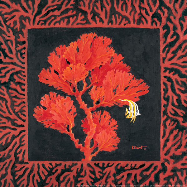 Sea Fan II