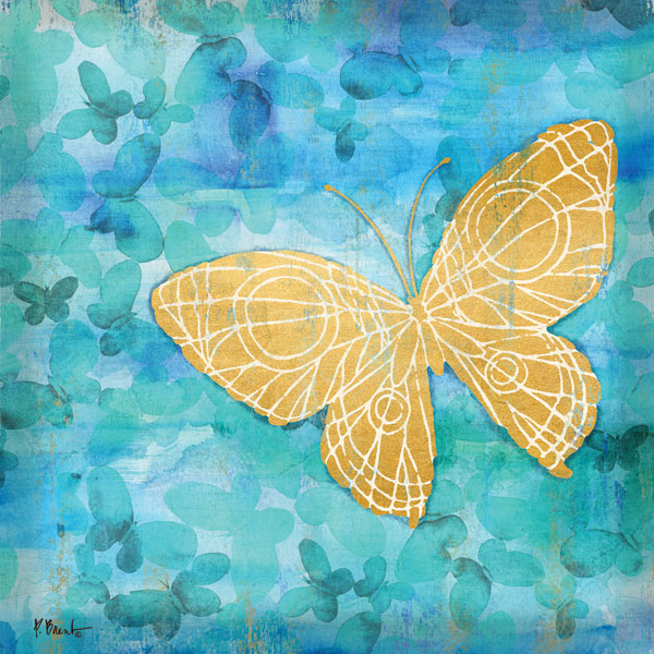 Aurora Butterfly