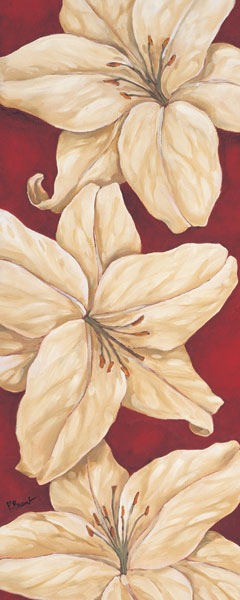 Bella Grande Lilies