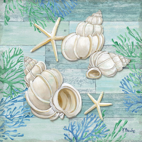 Clearwater Shells III