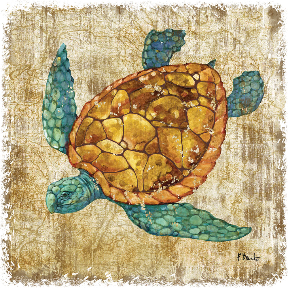 Saltwater Exploration I