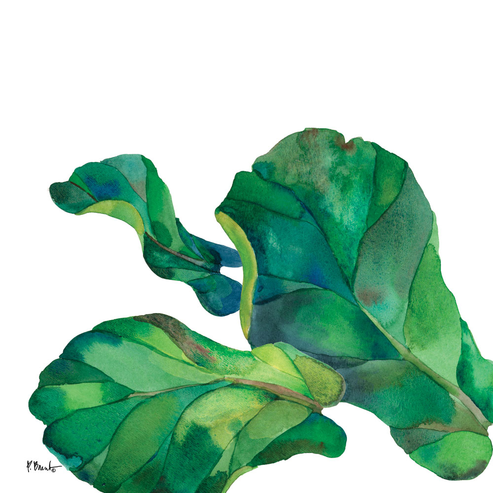 Palm Fronds II