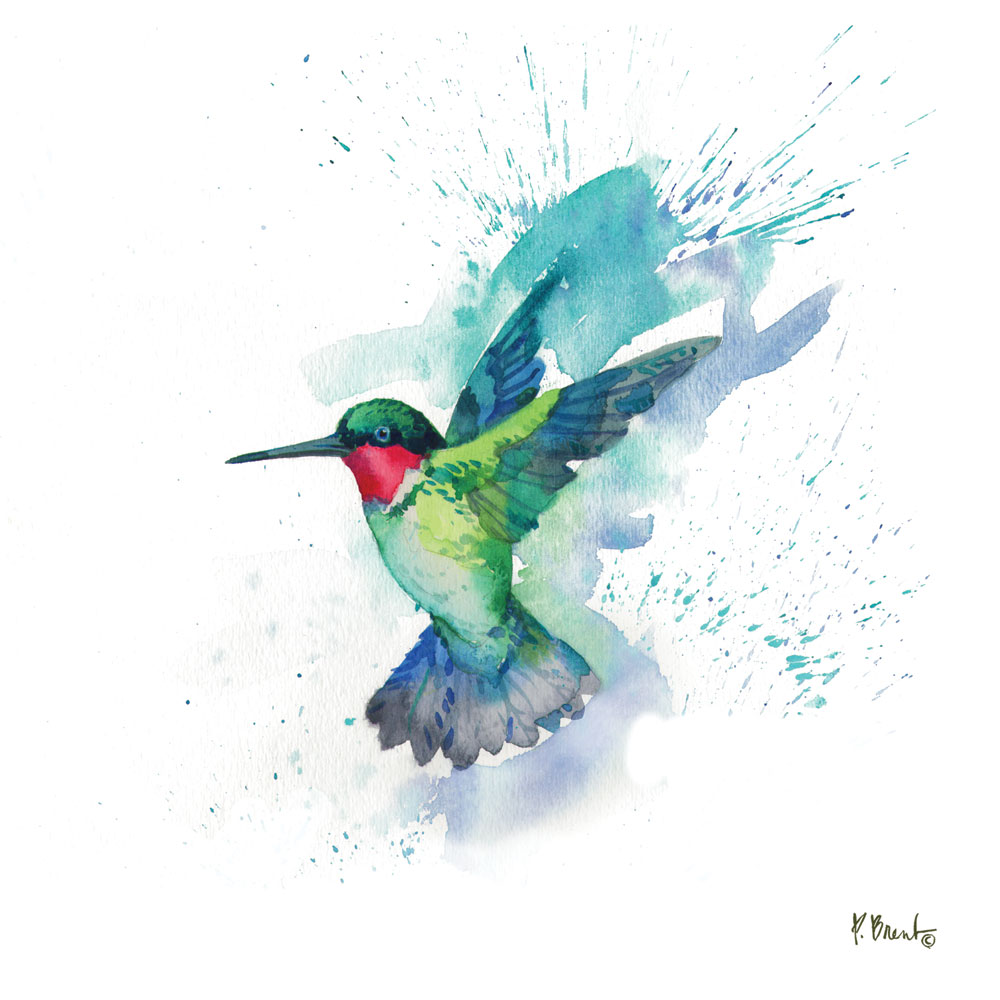 Arianna Hummingbird II