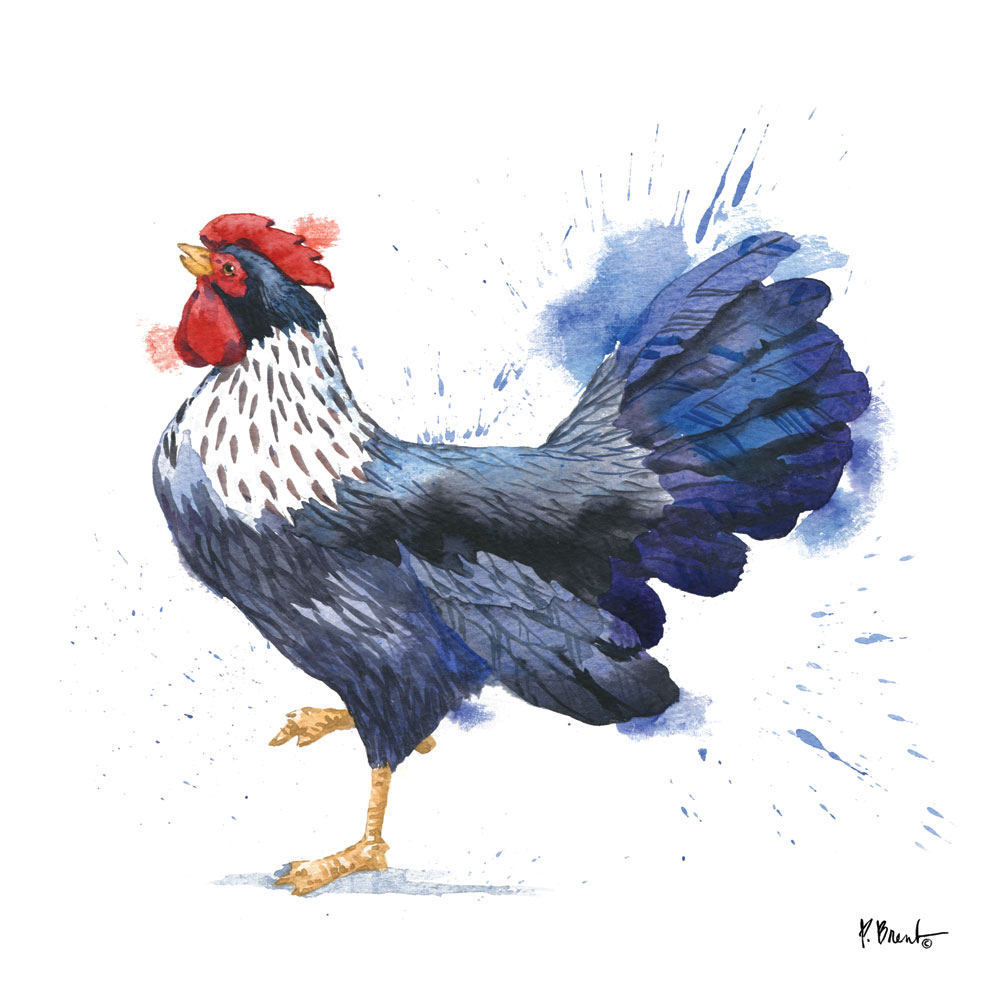 Arianna Rooster II