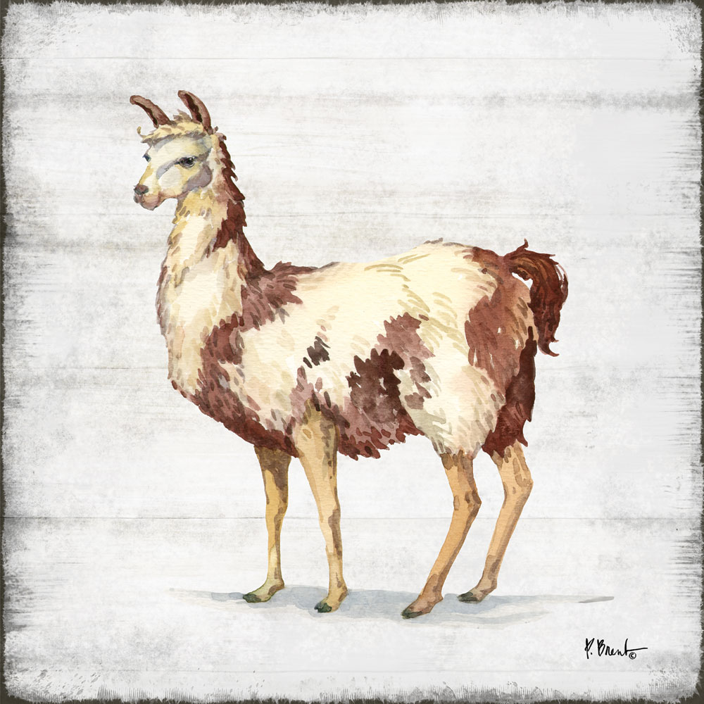 Farmhouse Llama II