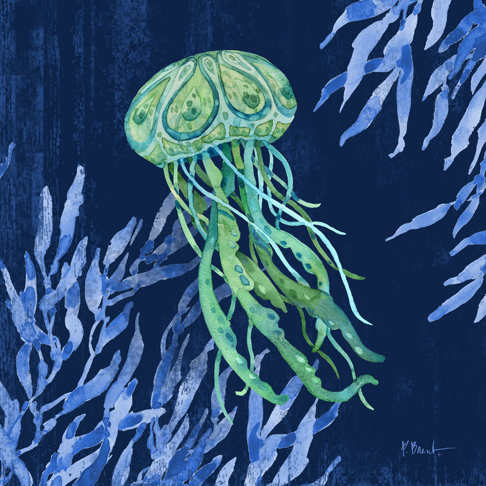 Bondi Sealife I