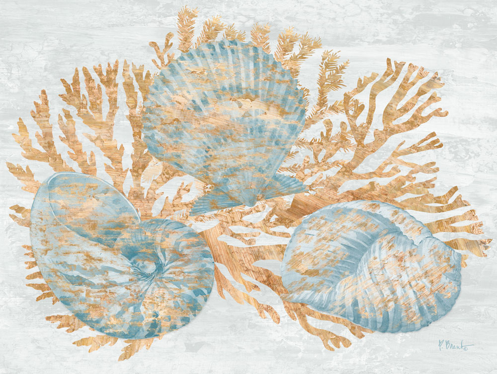 Shimmering Shells II