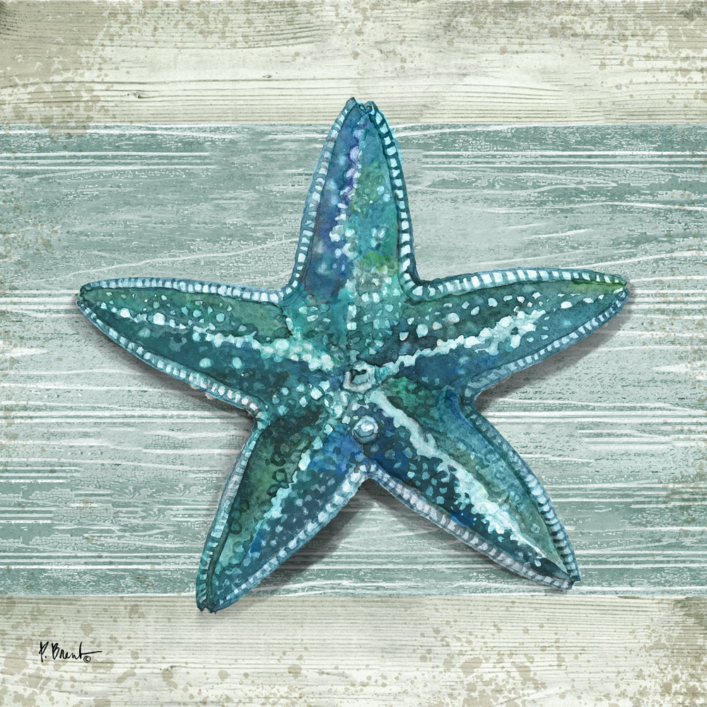 Northpoint Shells VI