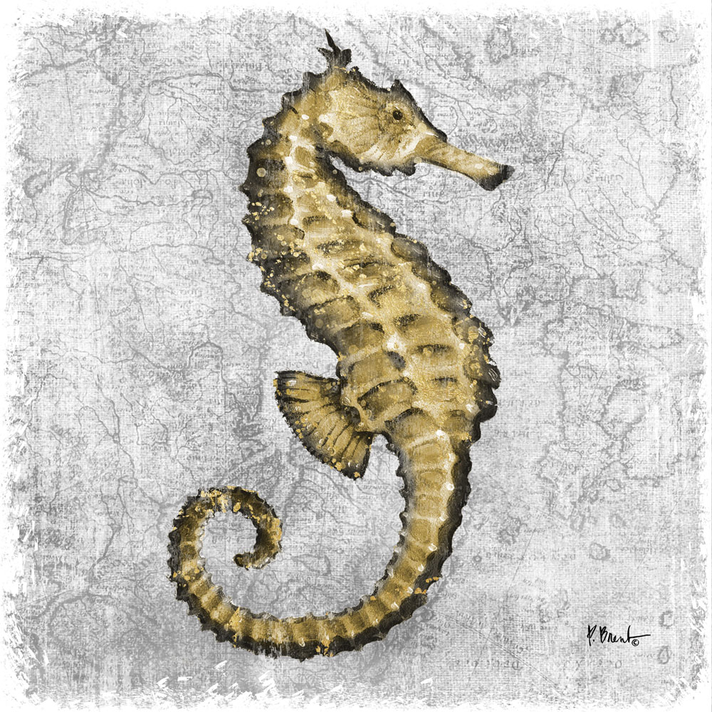 Saltwater Exploration I