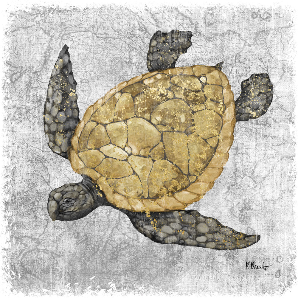 Saltwater Exploration II