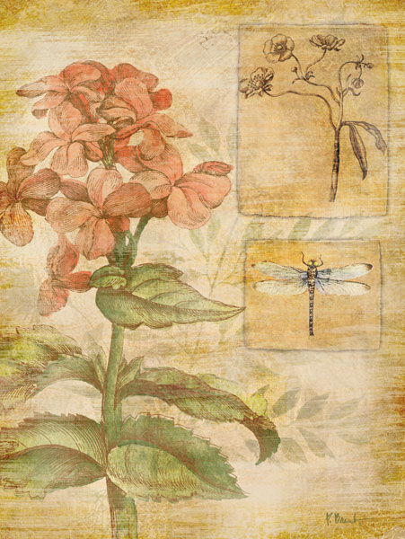 Flora Dragonfly