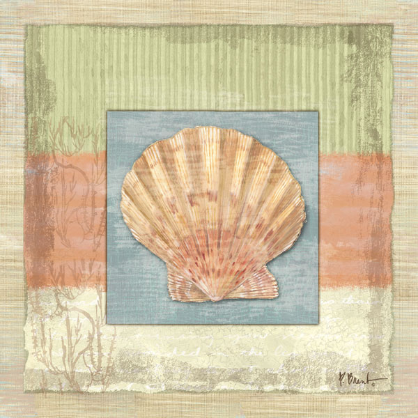 Montego Scallop