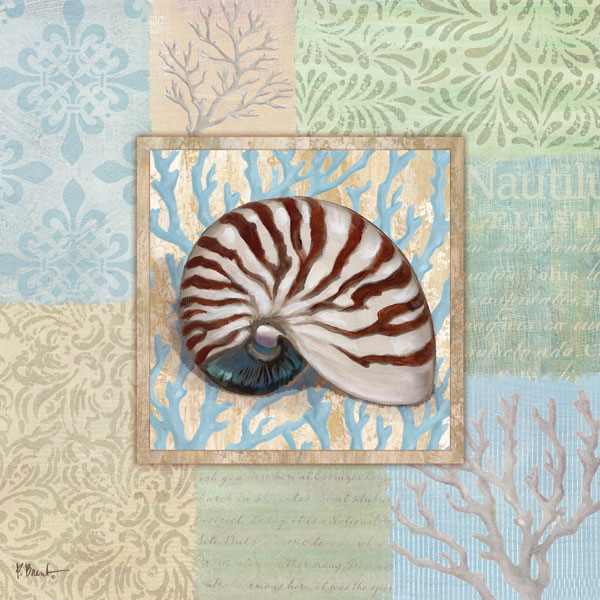 Oceanic Shell Collage III
