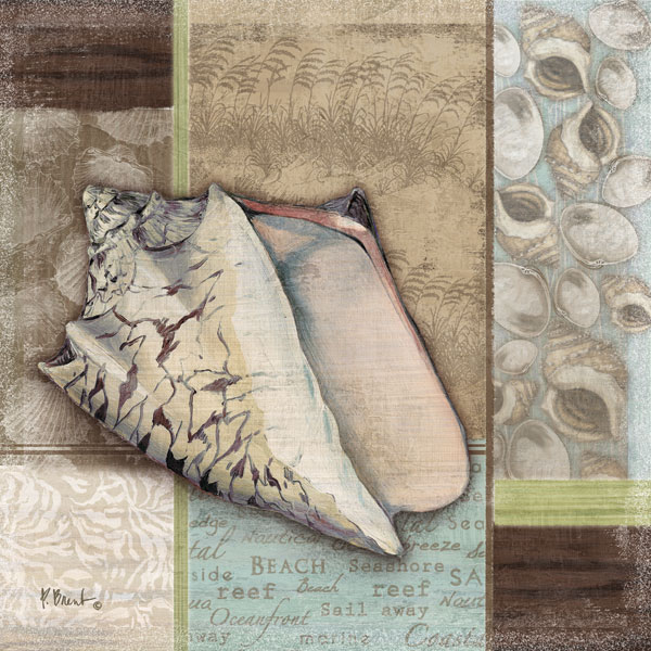 Santa Rosa Shell I