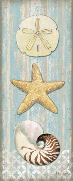 Spa Shells Vertical I