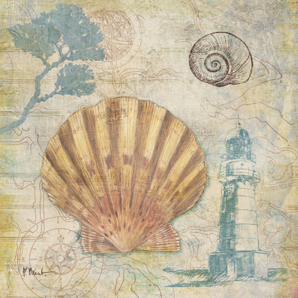 Discovery Shell II