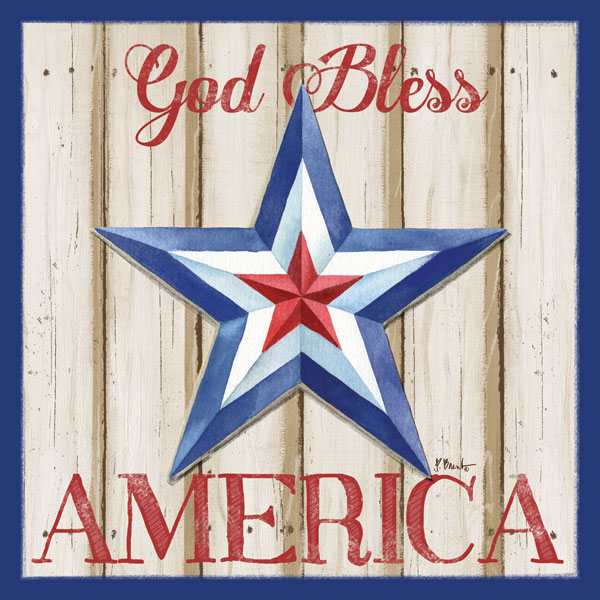 Patriotic Barn Star II