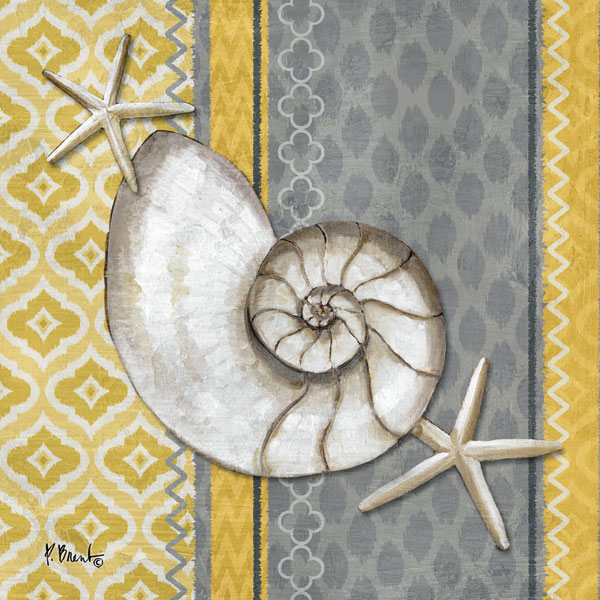 Santa Cruz Shells I