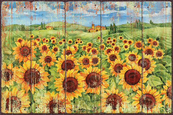 Sunflower Field
