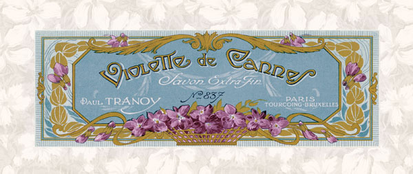 Violette de Cannes