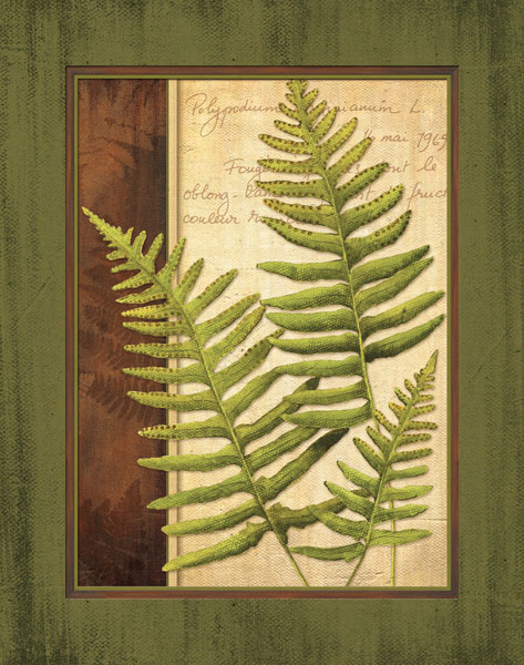 Fern Grotto III