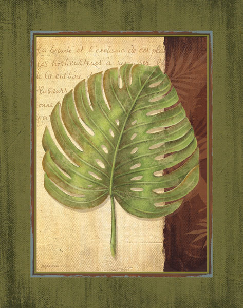 Palm Tropical IV