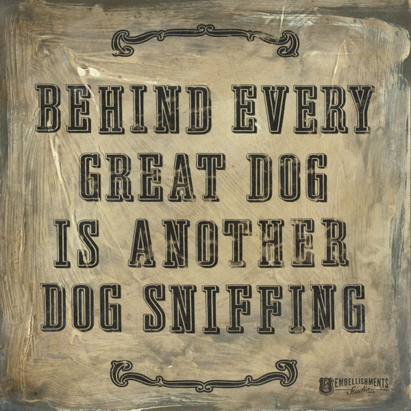 Behind Every Dog