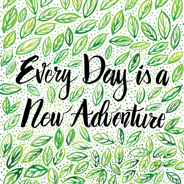 New Adventure