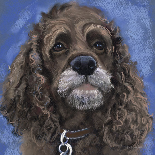Black Cocker Spaniel