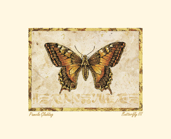 Butterfly III