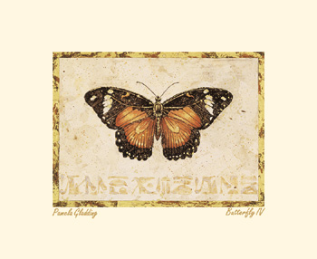 Butterfly IV
