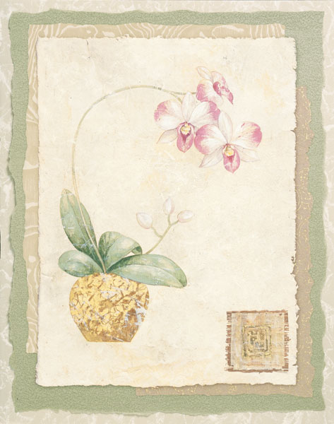 Orchid I