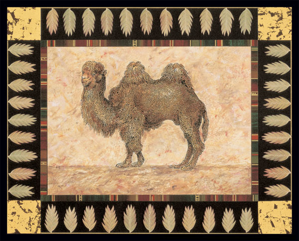 Camel