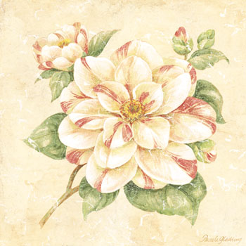 Camellia