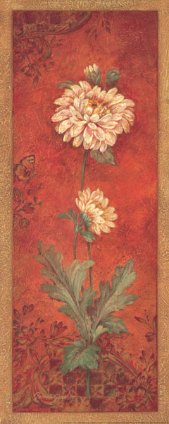 Chrysanthemum