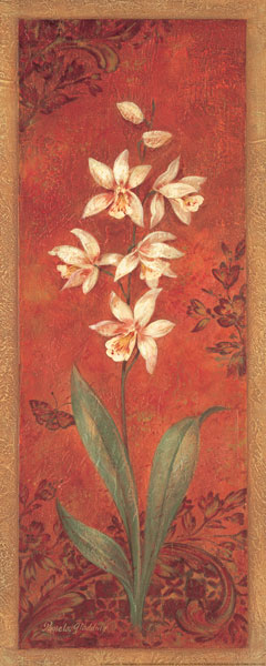 Cymbidium