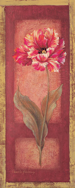 Red Door Tulip