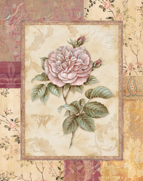 Provence Rose II