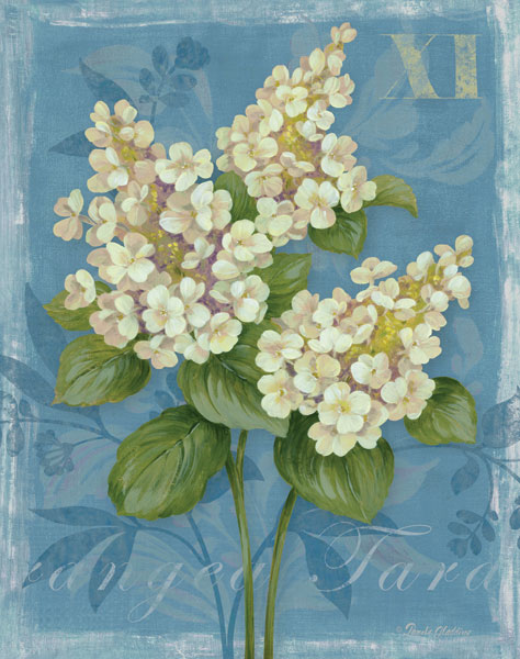 Tardiva Hydrangea