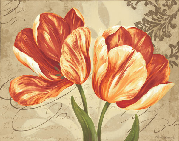 Colori II