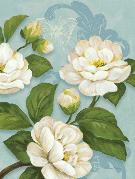 Camellias