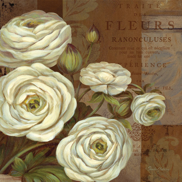 Patina Ranunculus