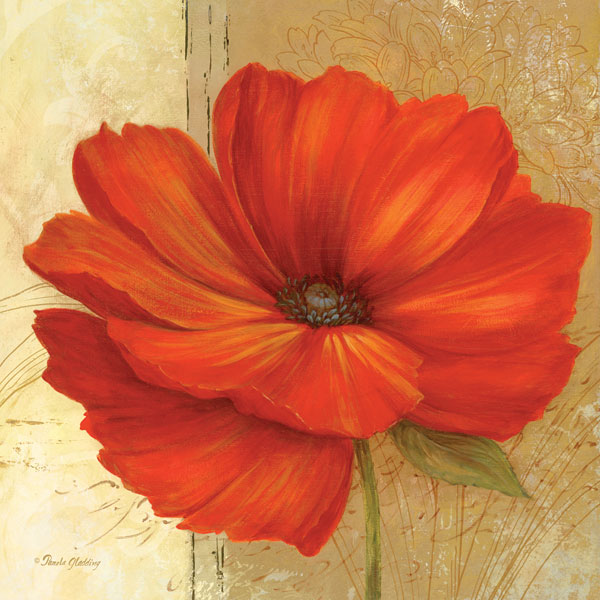 Papaver II
