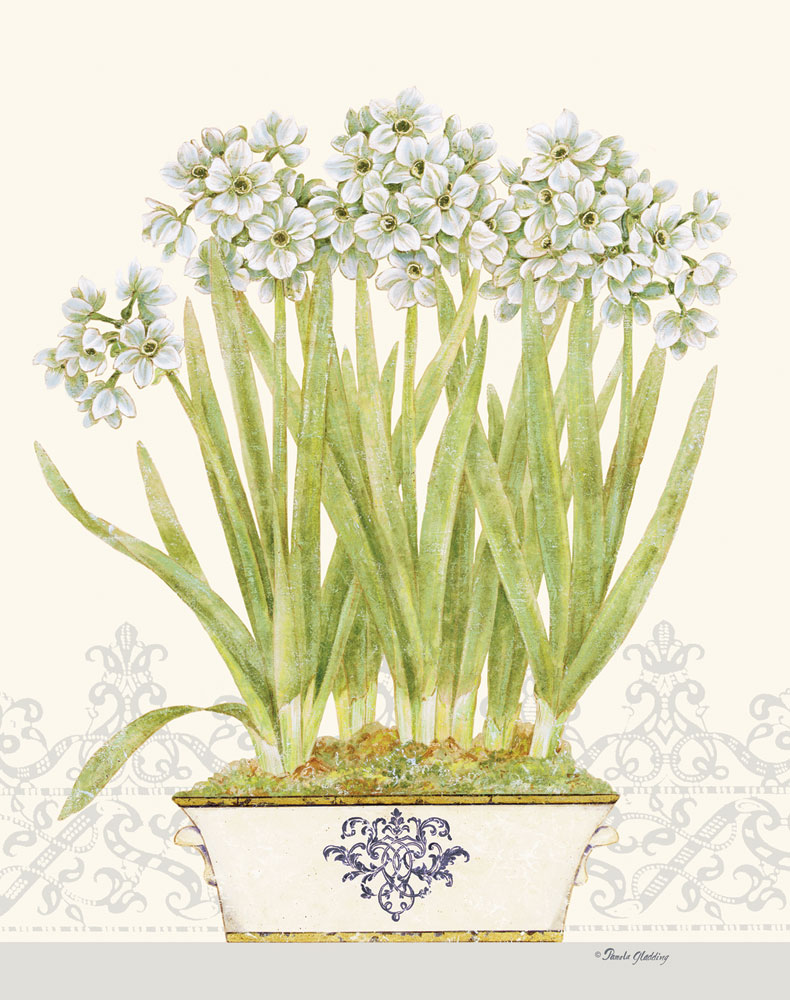 Imperial Narcissus