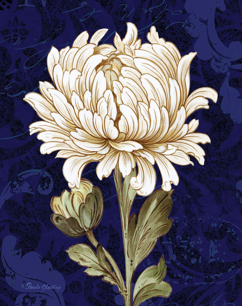 Damask Chrysanthemum