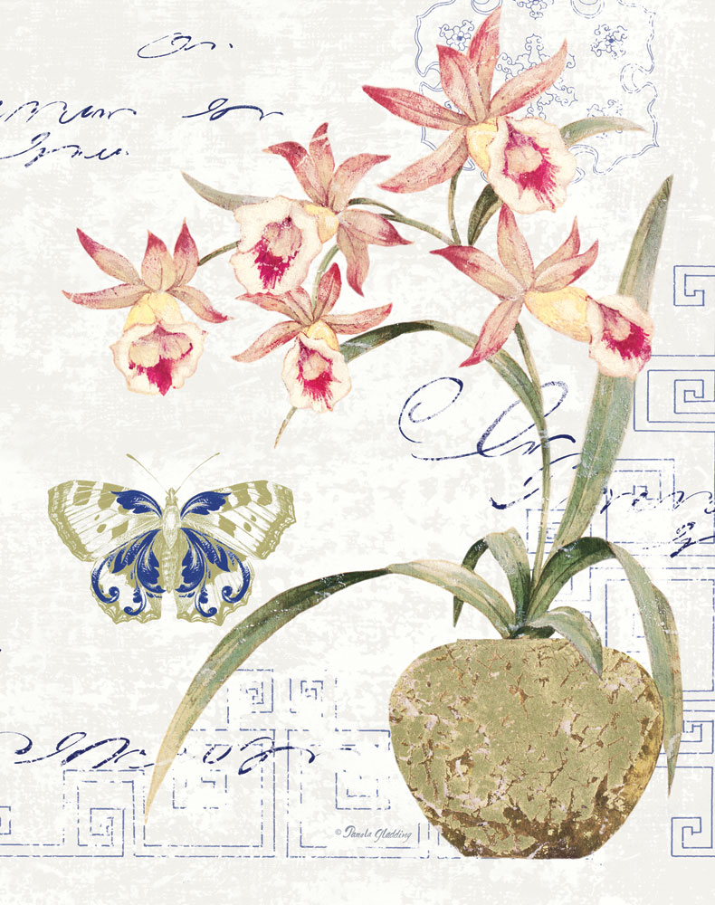 Orchid II