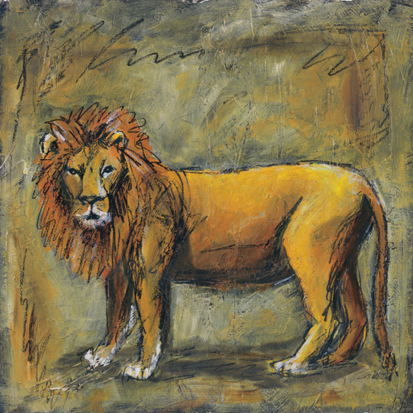 Safari Lion